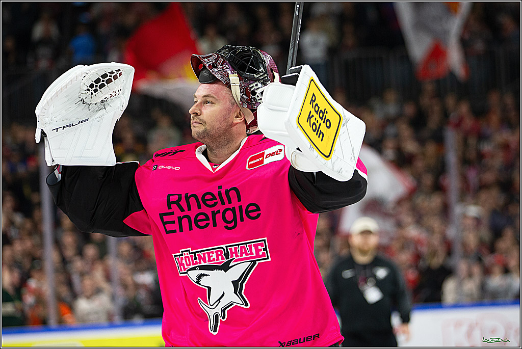PENNY DEL; Koelner Haie- Staubing Tigers; Koeln, 03.10.2024