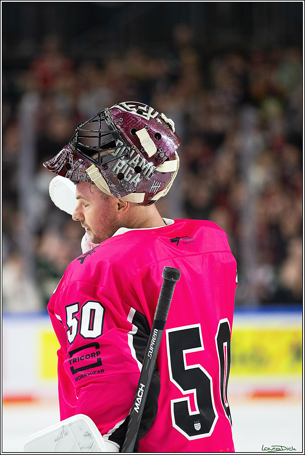 PENNY DEL; Koelner Haie- Staubing Tigers; Koeln, 03.10.2024