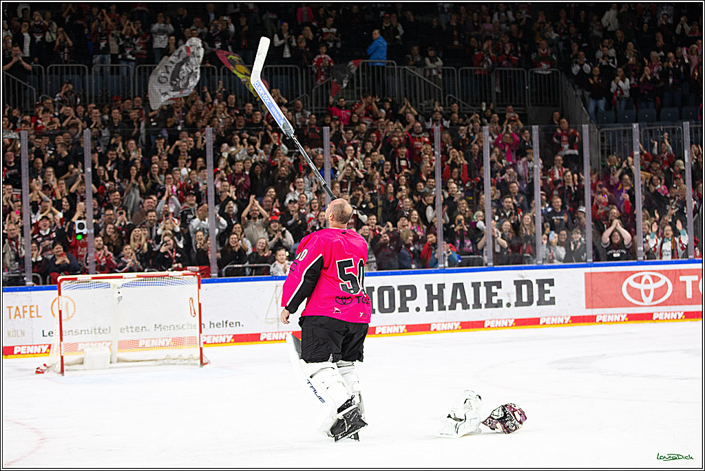 PENNY DEL; Koelner Haie- Staubing Tigers; Koeln, 03.10.2024