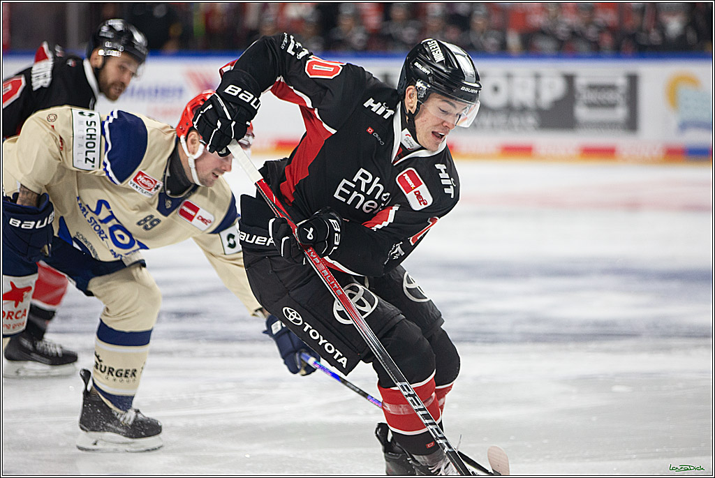 PENNY DEL; Koelner Haie- Schwenninger Wild Wings; Koeln, 11.10.2024