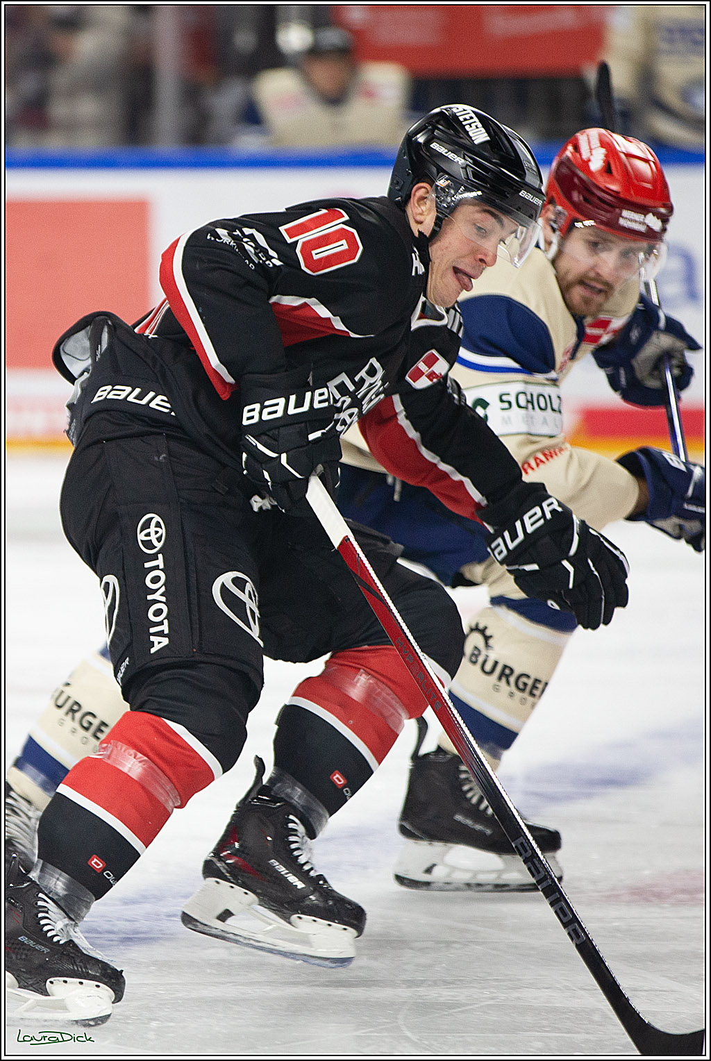 PENNY DEL; Koelner Haie- Schwenninger Wild Wings; Koeln, 11.10.2024