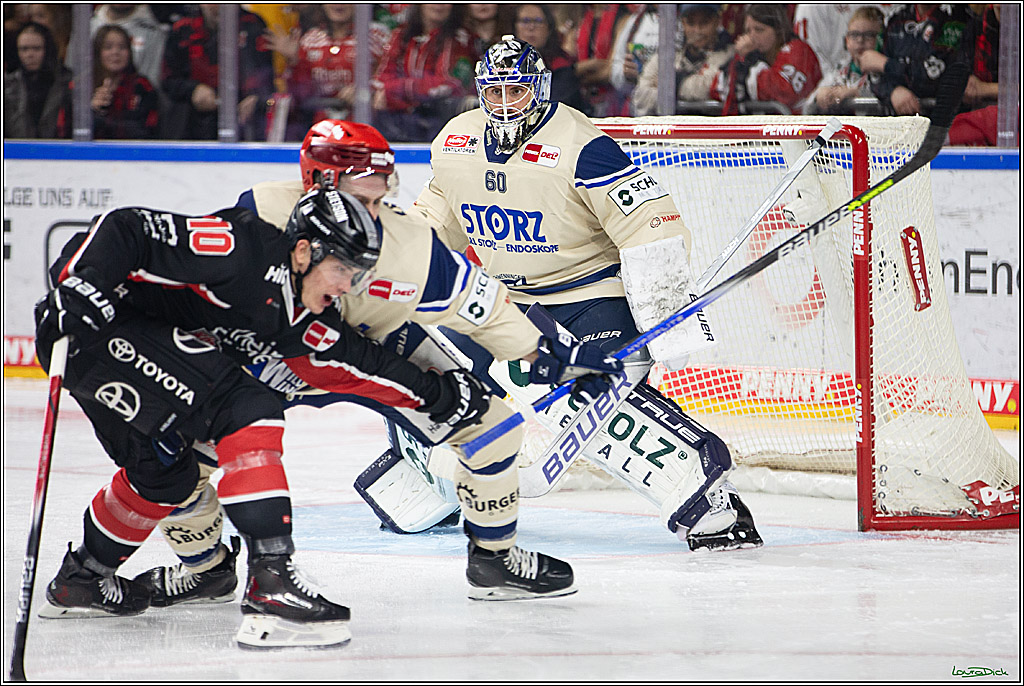 PENNY DEL; Koelner Haie- Schwenninger Wild Wings; Koeln, 11.10.2024
