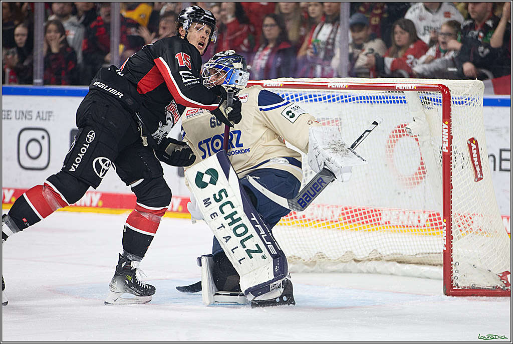 PENNY DEL; Koelner Haie- Schwenninger Wild Wings; Koeln, 11.10.2024