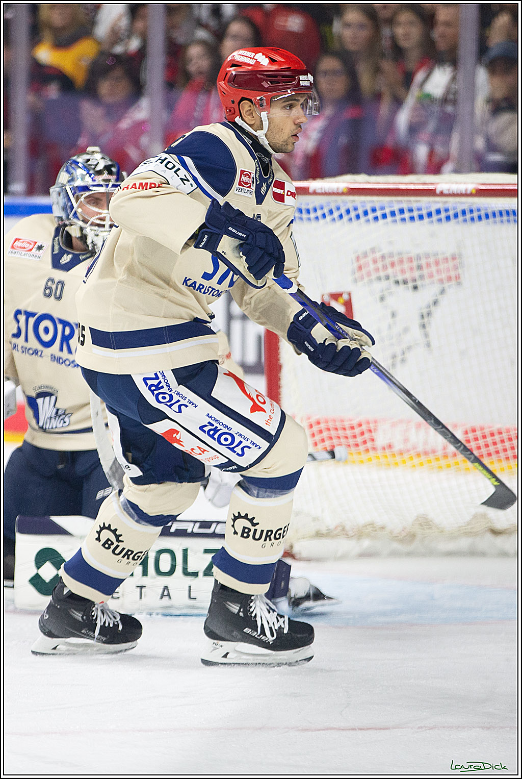 PENNY DEL; Koelner Haie- Schwenninger Wild Wings; Koeln, 11.10.2024