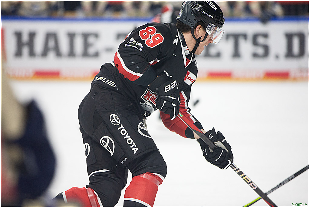 PENNY DEL; Koelner Haie- Schwenninger Wild Wings; Koeln, 11.10.2024