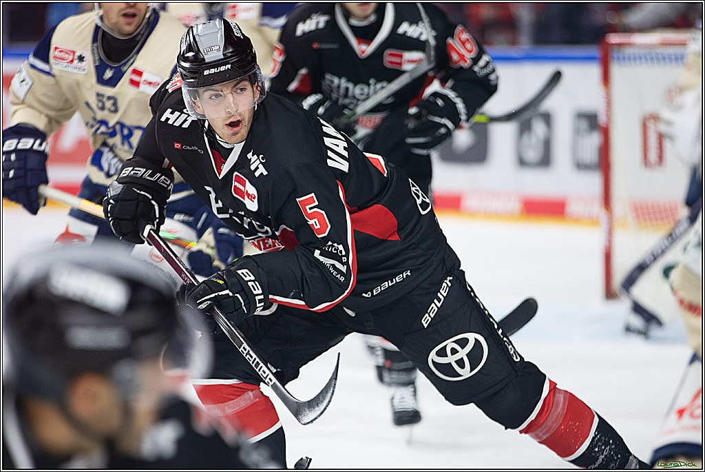 PENNY DEL; Koelner Haie- Schwenninger Wild Wings; Koeln, 11.10.2024