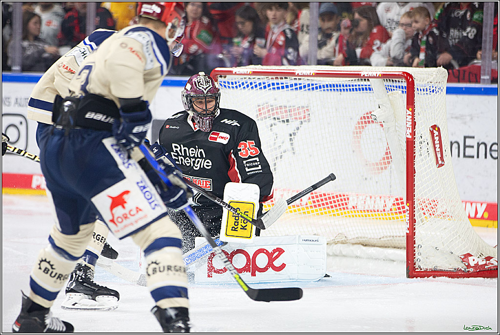 PENNY DEL; Koelner Haie- Schwenninger Wild Wings; Koeln, 11.10.2024