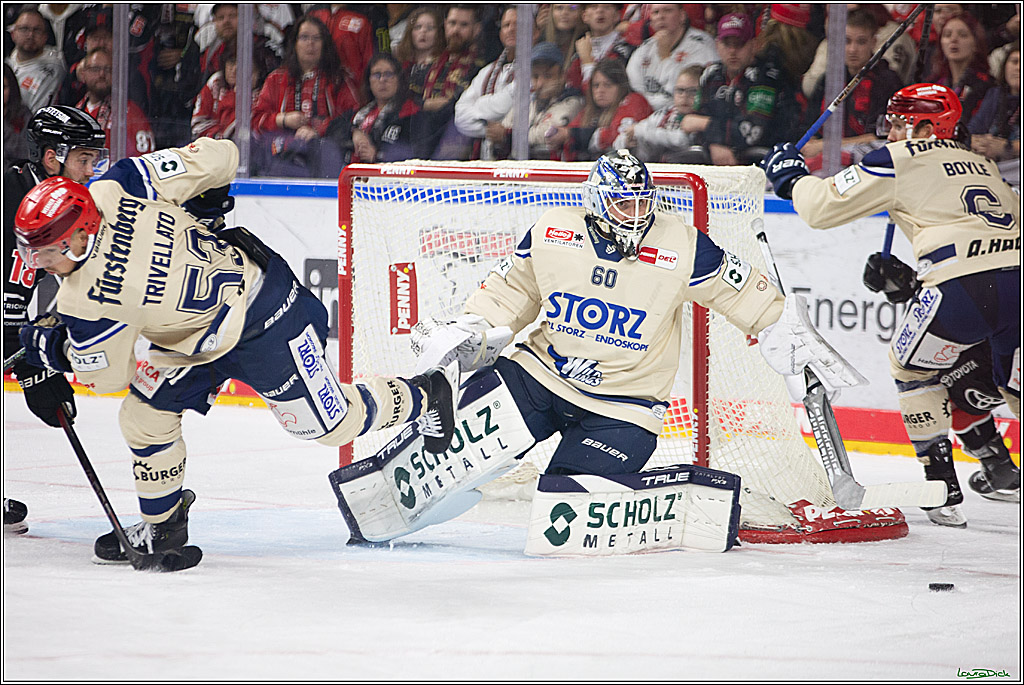 PENNY DEL; Koelner Haie- Schwenninger Wild Wings; Koeln, 11.10.2024