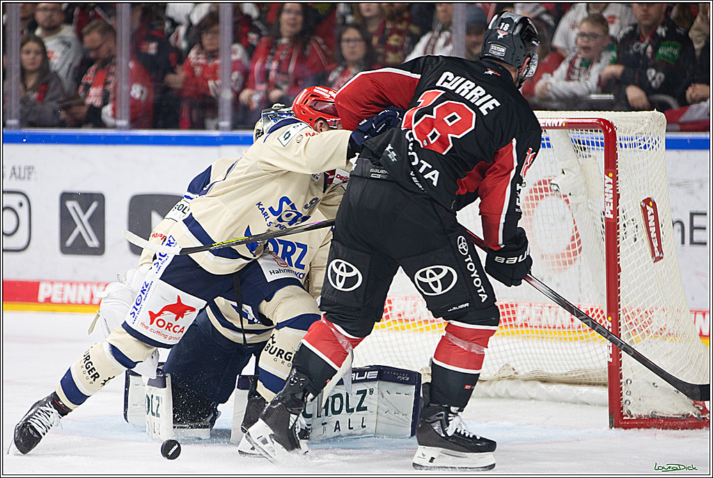 PENNY DEL; Koelner Haie- Schwenninger Wild Wings; Koeln, 11.10.2024
