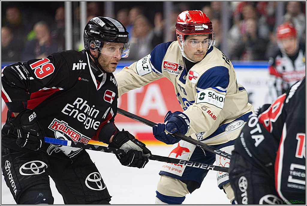 PENNY DEL; Koelner Haie- Schwenninger Wild Wings; Koeln, 11.10.2024