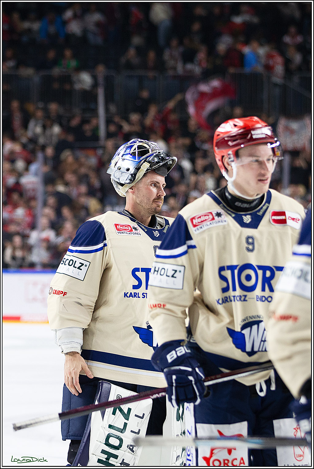 PENNY DEL; Koelner Haie- Schwenninger Wild Wings; Koeln, 11.10.2024