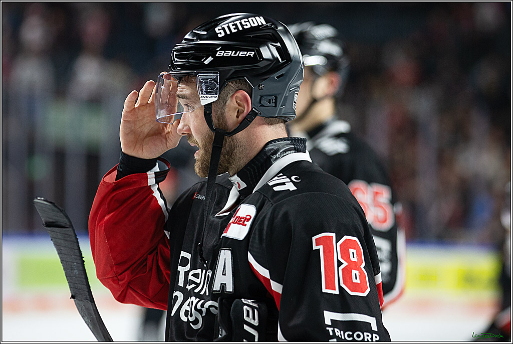 PENNY DEL; Koelner Haie- Schwenninger Wild Wings; Koeln, 11.10.2024