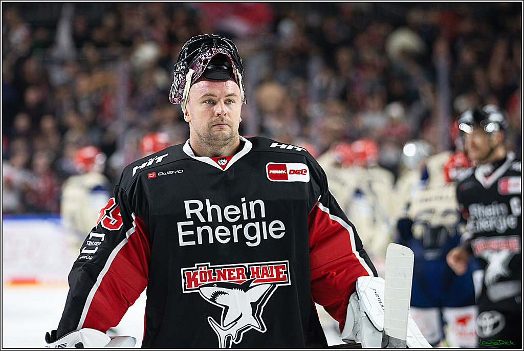 PENNY DEL; Koelner Haie- Schwenninger Wild Wings; Koeln, 11.10.2024