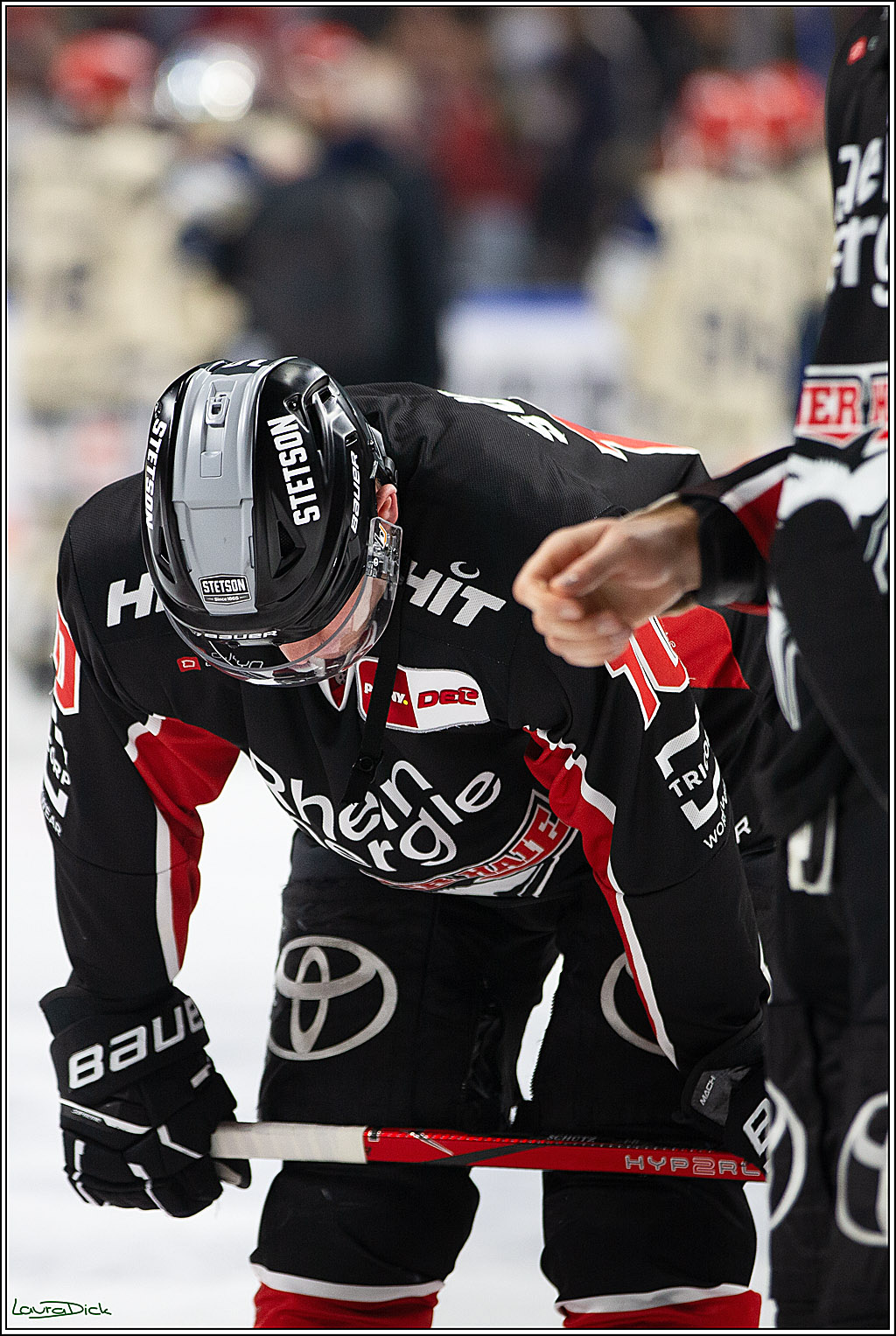 PENNY DEL; Koelner Haie- Schwenninger Wild Wings; Koeln, 11.10.2024