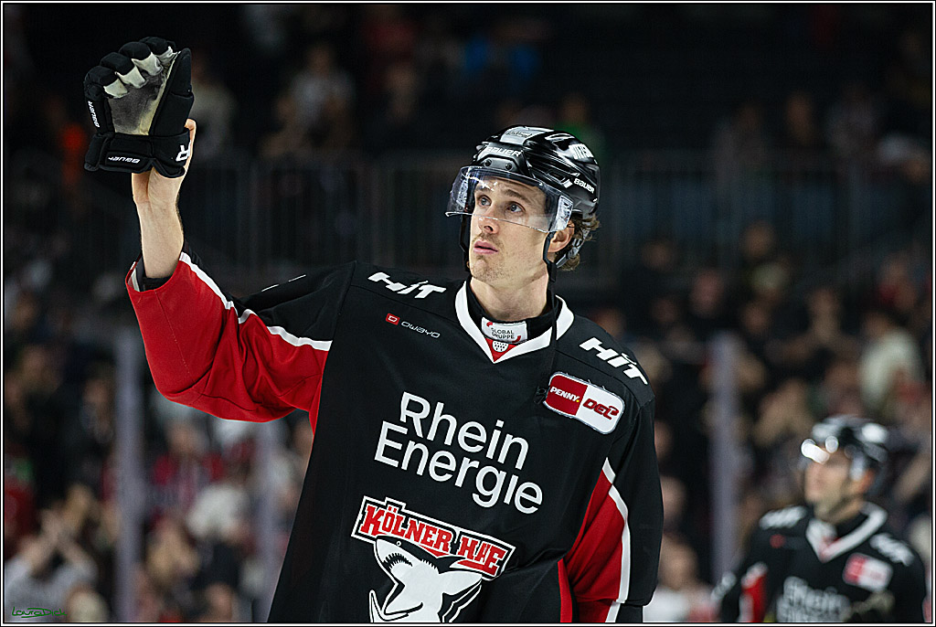 PENNY DEL; Koelner Haie- Schwenninger Wild Wings; Koeln, 11.10.2024