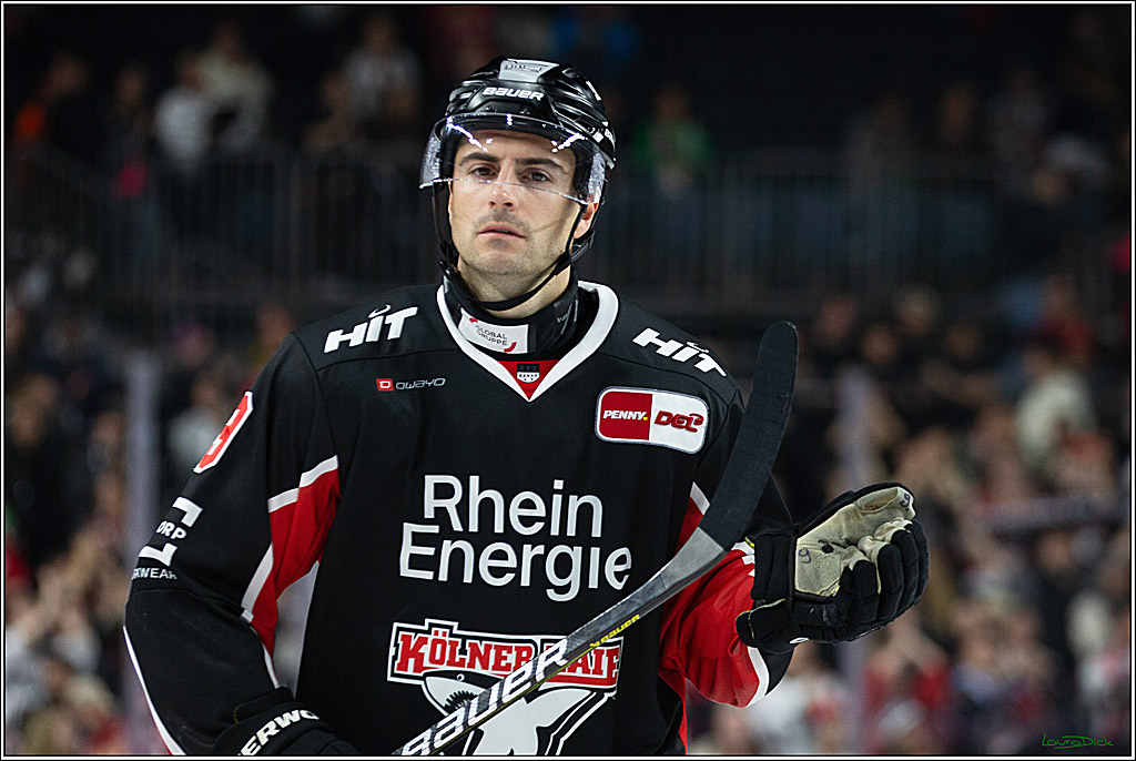 PENNY DEL; Koelner Haie- Schwenninger Wild Wings; Koeln, 11.10.2024