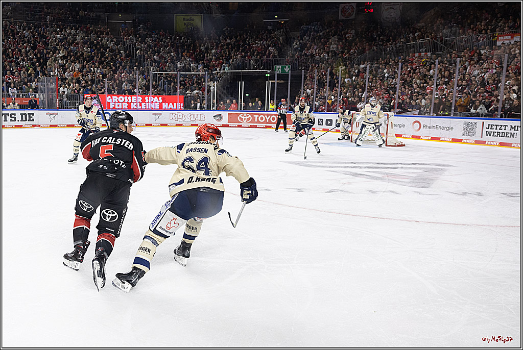 PENNY DEL 1; Kölner Haie - Schwenninger Wild Wings; Köln, 11.10.2024