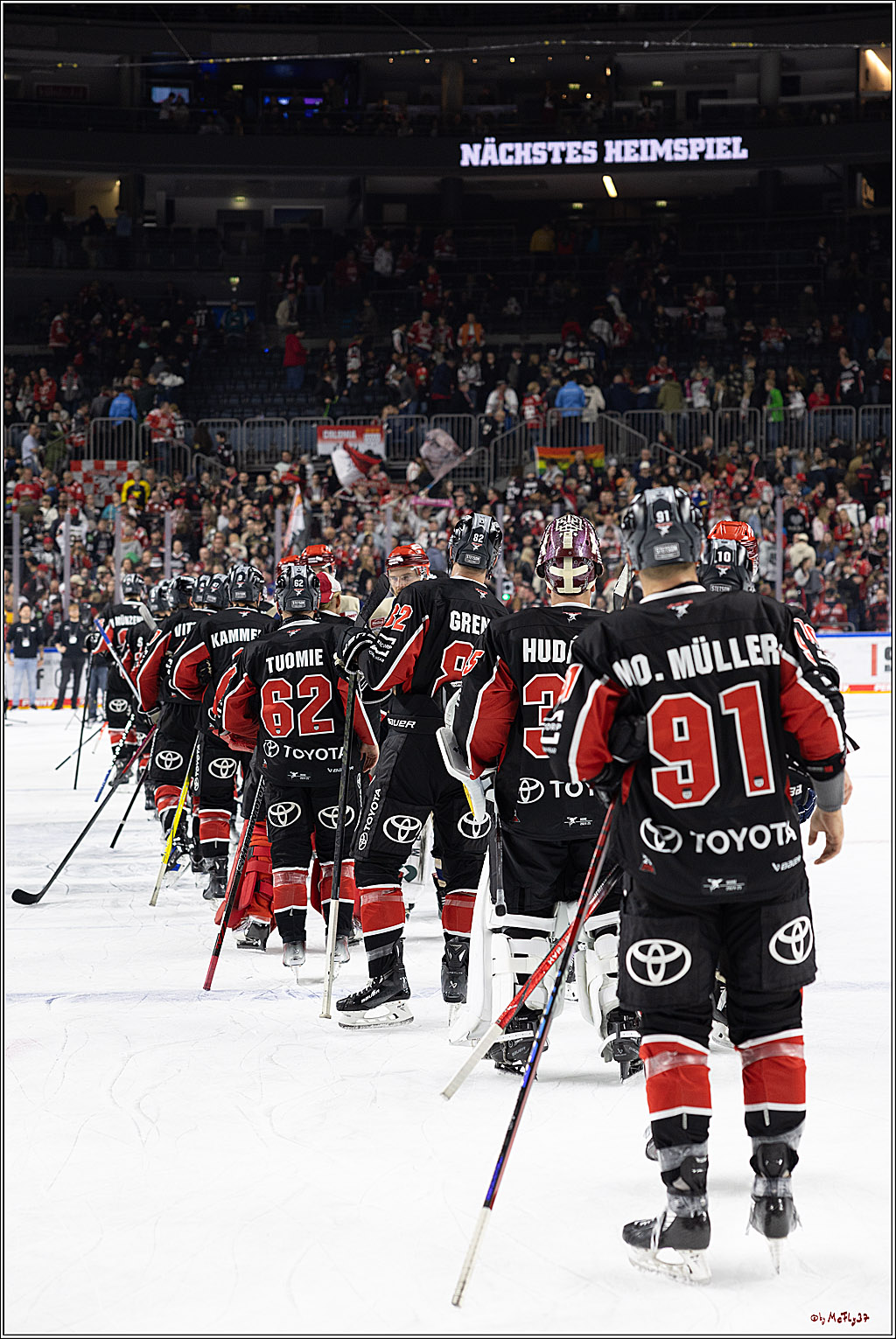 PENNY DEL 1; Kölner Haie - Schwenninger Wild Wings; Köln, 11.10.2024