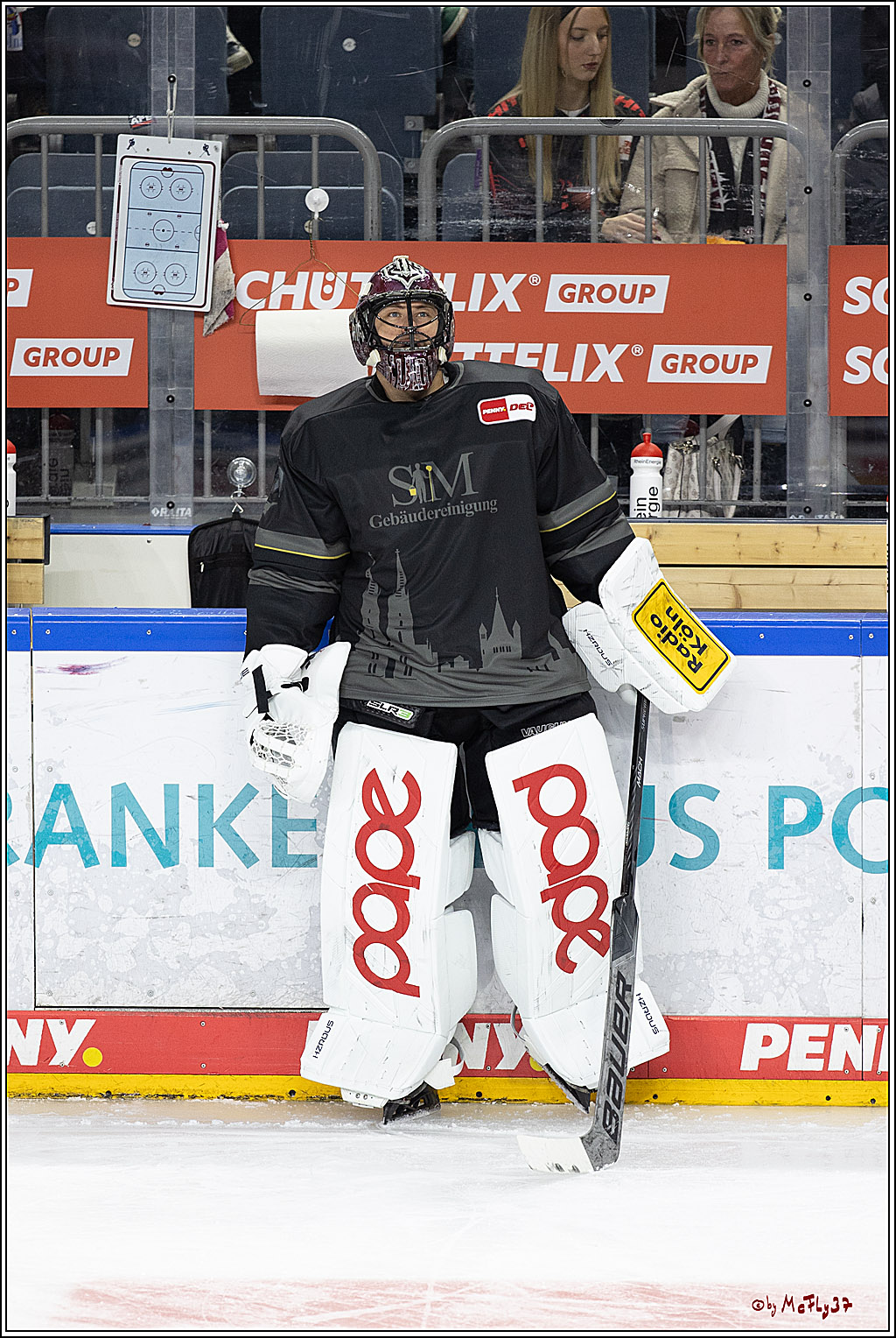 PENNY DEL 1; Kölner Haie - Schwenninger Wild Wings; Köln, 11.10.2024