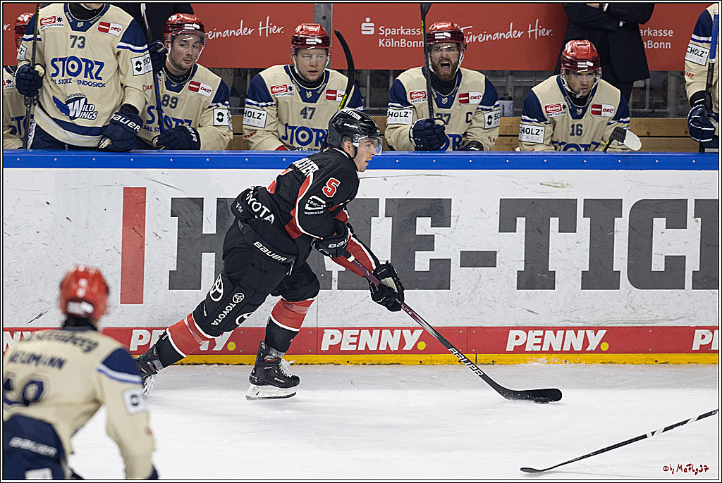 PENNY DEL 1; Kölner Haie - Schwenninger Wild Wings; Köln, 11.10.2024