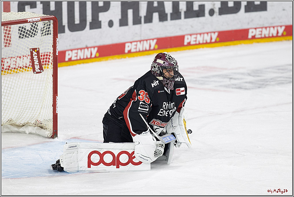 PENNY DEL 1; Kölner Haie - Schwenninger Wild Wings; Köln, 11.10.2024
