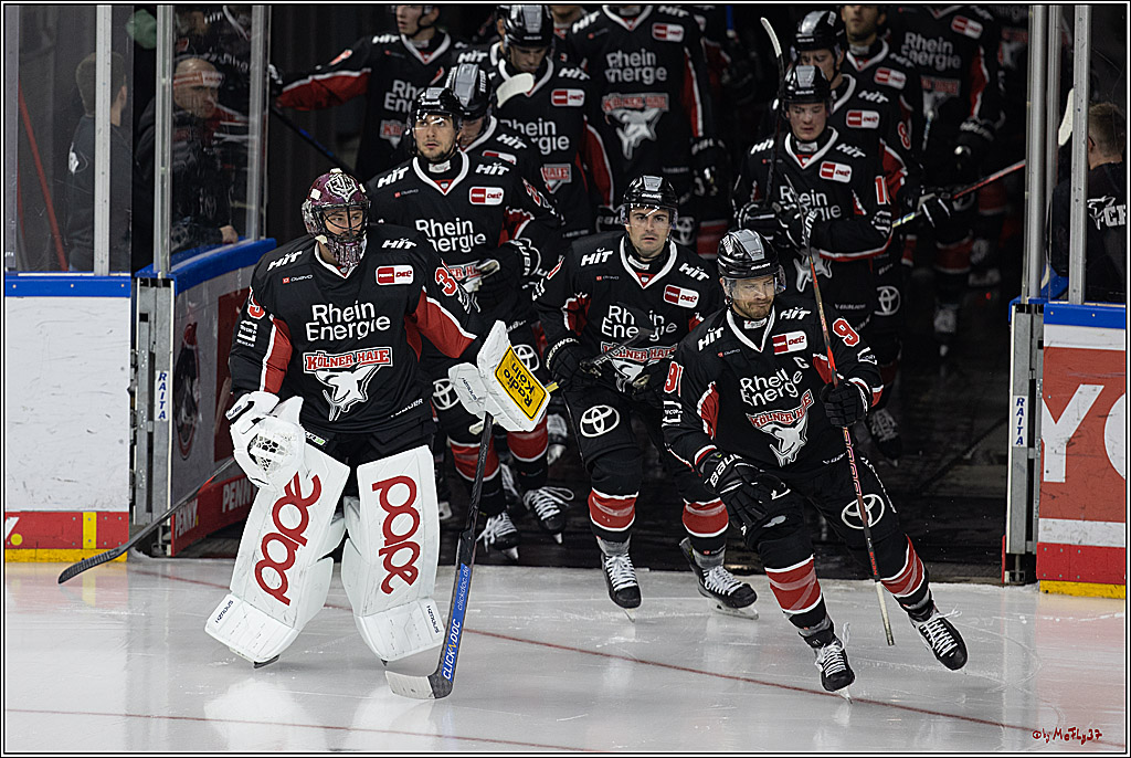 PENNY DEL 1; Kölner Haie - Schwenninger Wild Wings; Köln, 11.10.2024