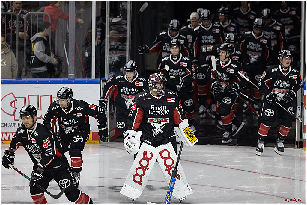 PENNY DEL 1; Kölner Haie - Schwenninger Wild Wings; Köln, 11.10.2024