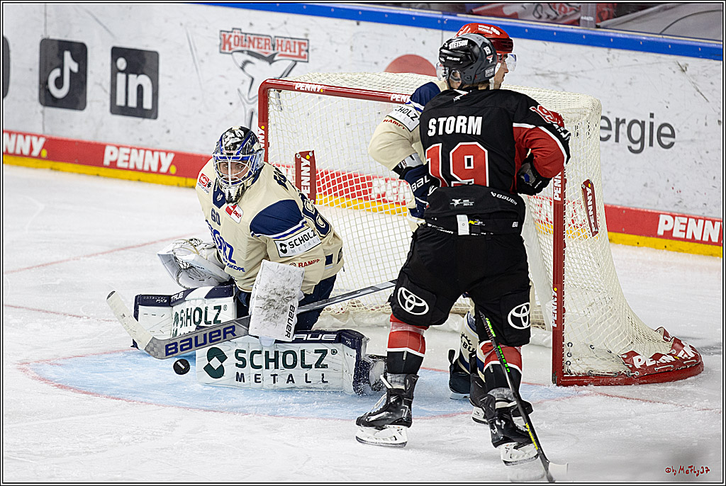 PENNY DEL 1; Kölner Haie - Schwenninger Wild Wings; Köln, 11.10.2024