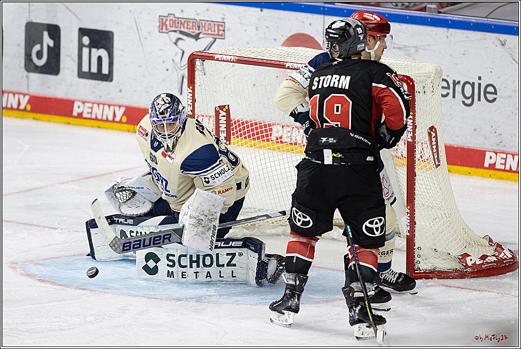 PENNY DEL 1; Kölner Haie - Schwenninger Wild Wings; Köln, 11.10.2024