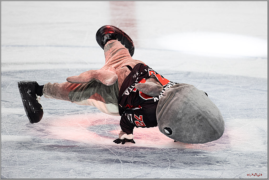 PENNY DEL 1; Kölner Haie - Schwenninger Wild Wings; Köln, 11.10.2024