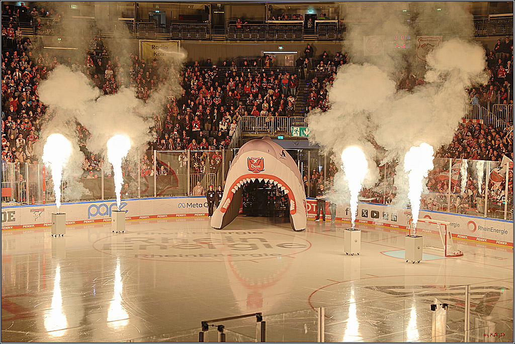 PENNY DEL 1; Kölner Haie - ERC Ingolstadt; Köln, 13.10.2024