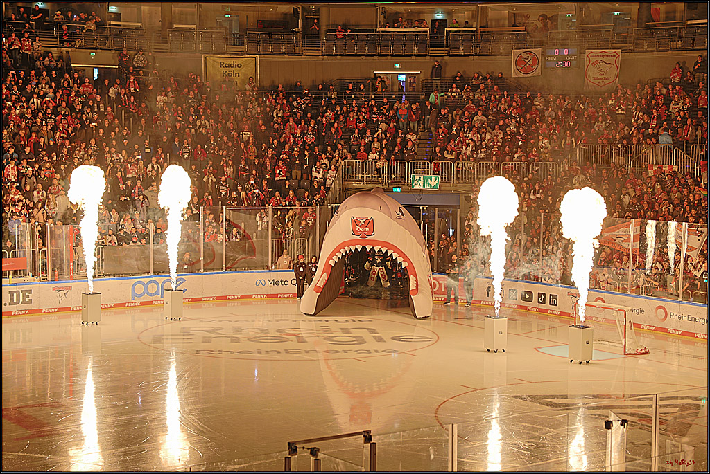 PENNY DEL 1; Kölner Haie - ERC Ingolstadt; Köln, 13.10.2024