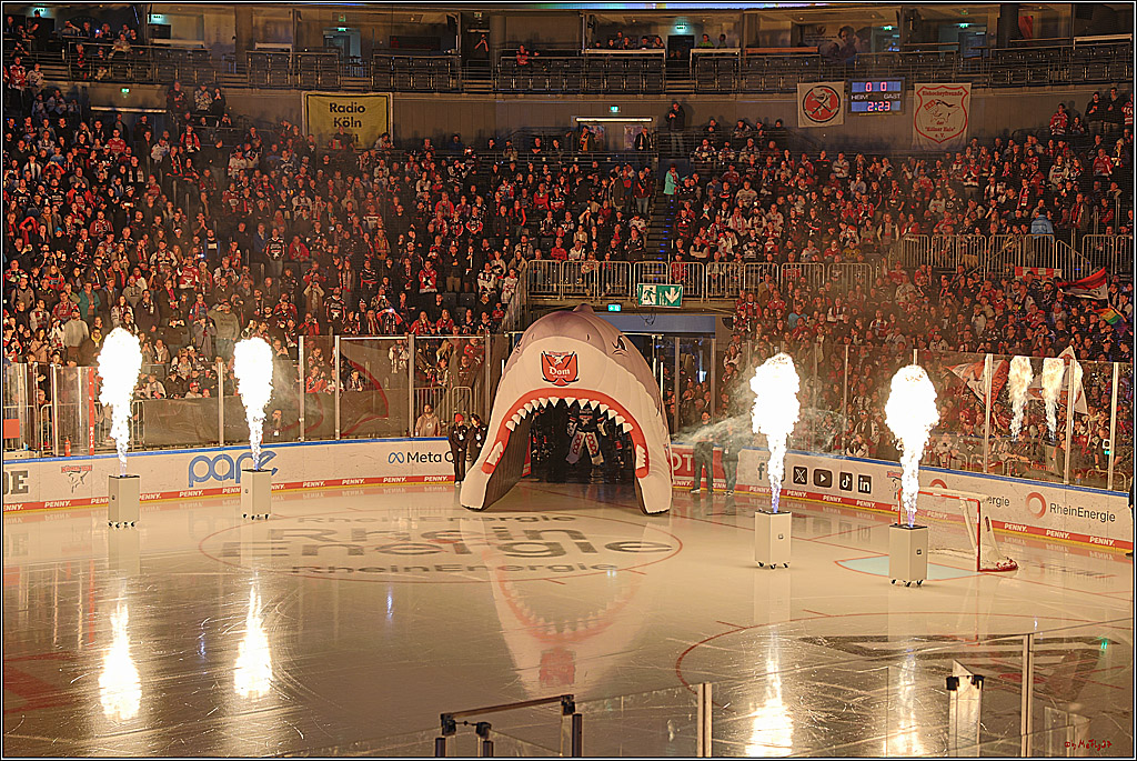 PENNY DEL 1; Kölner Haie - ERC Ingolstadt; Köln, 13.10.2024
