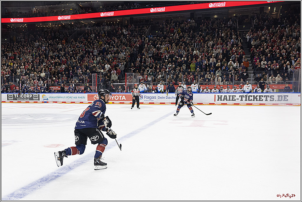 PENNY DEL 1; Kölner Haie - ERC Ingolstadt; Köln, 13.10.2024