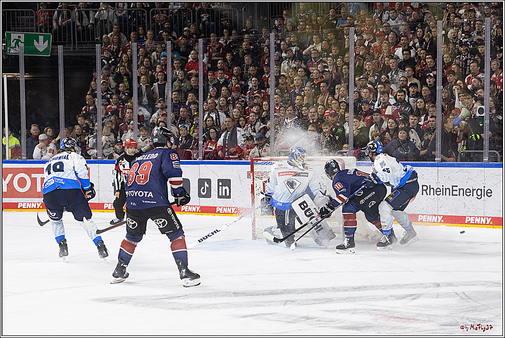 PENNY DEL 1; Kölner Haie - ERC Ingolstadt; Köln, 13.10.2024