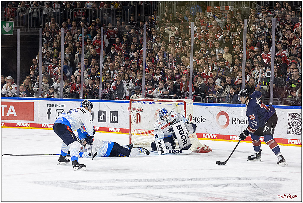 PENNY DEL 1; Kölner Haie - ERC Ingolstadt; Köln, 13.10.2024