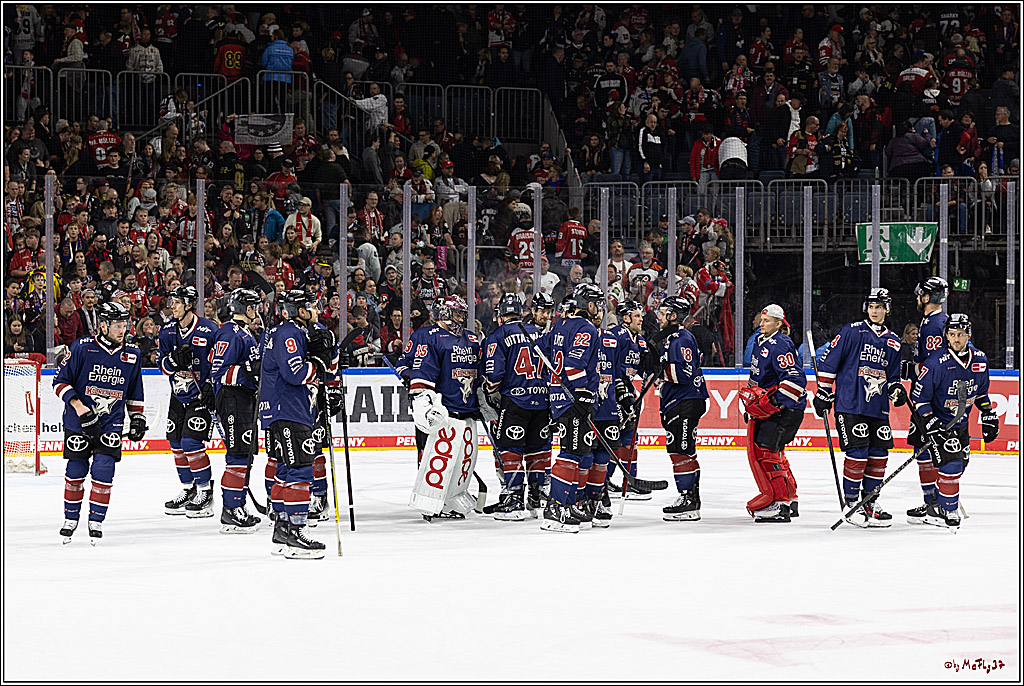 PENNY DEL 1; Kölner Haie - ERC Ingolstadt; Köln, 13.10.2024