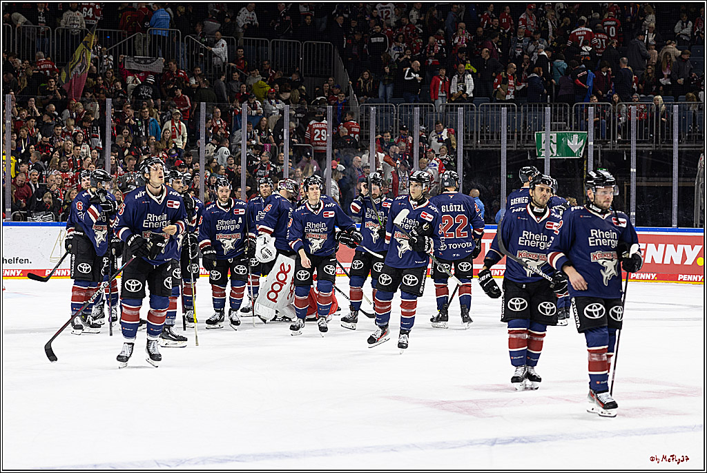 PENNY DEL 1; Kölner Haie - ERC Ingolstadt; Köln, 13.10.2024