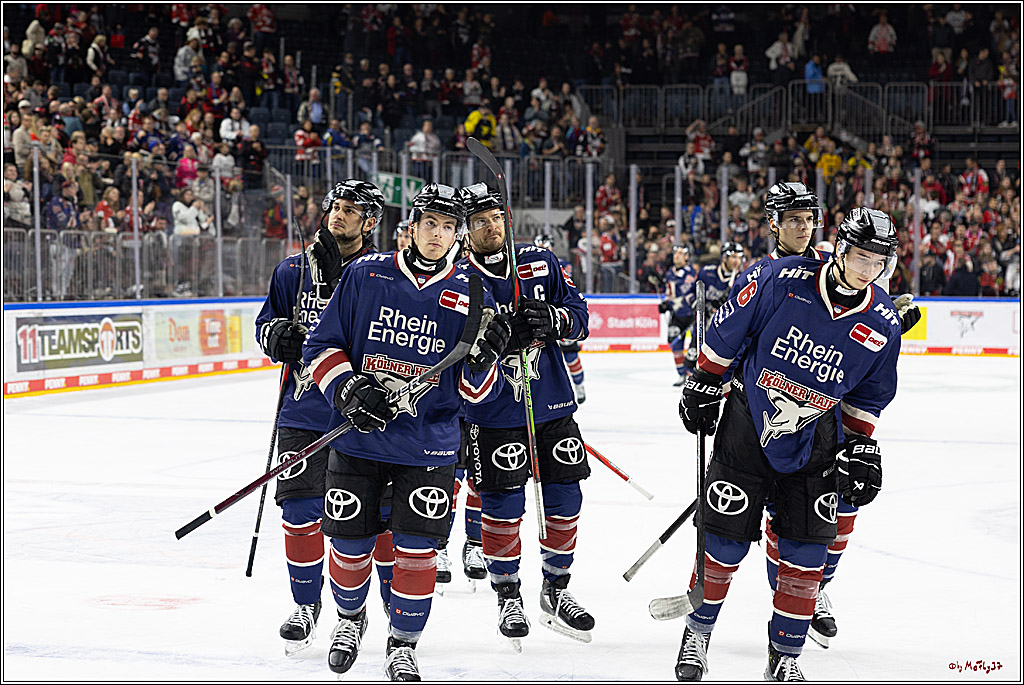 PENNY DEL 1; Kölner Haie - ERC Ingolstadt; Köln, 13.10.2024