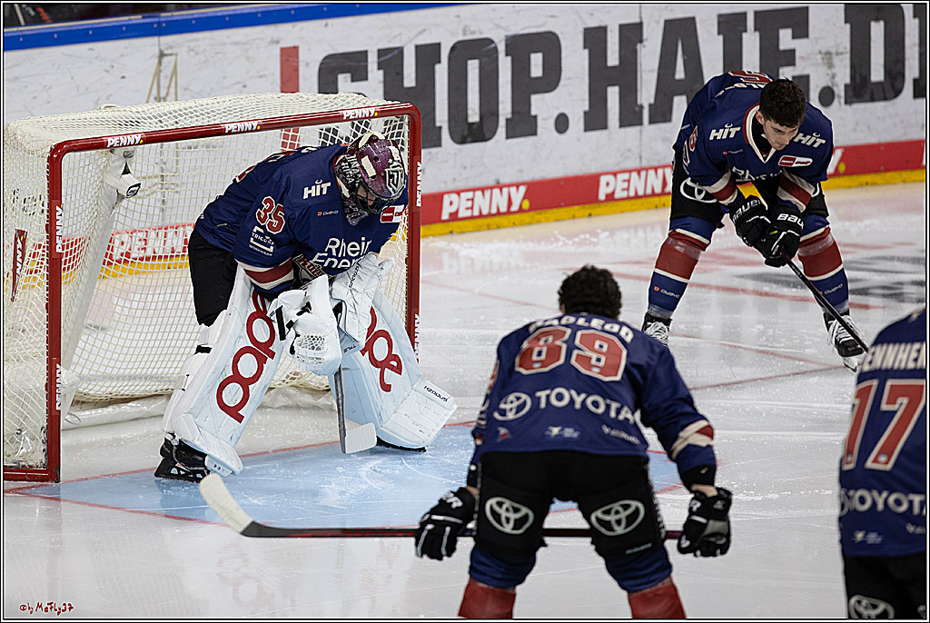 PENNY DEL 1; Kölner Haie - ERC Ingolstadt; Köln, 13.10.2024