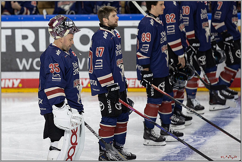 PENNY DEL 1; Kölner Haie - ERC Ingolstadt; Köln, 13.10.2024