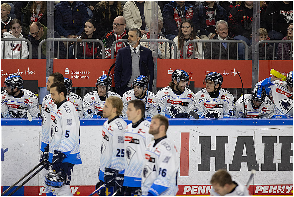 PENNY DEL 1; Kölner Haie - ERC Ingolstadt; Köln, 13.10.2024