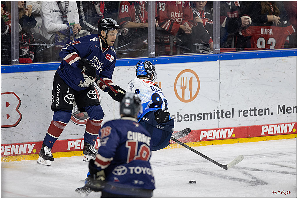 PENNY DEL 1; Kölner Haie - ERC Ingolstadt; Köln, 13.10.2024