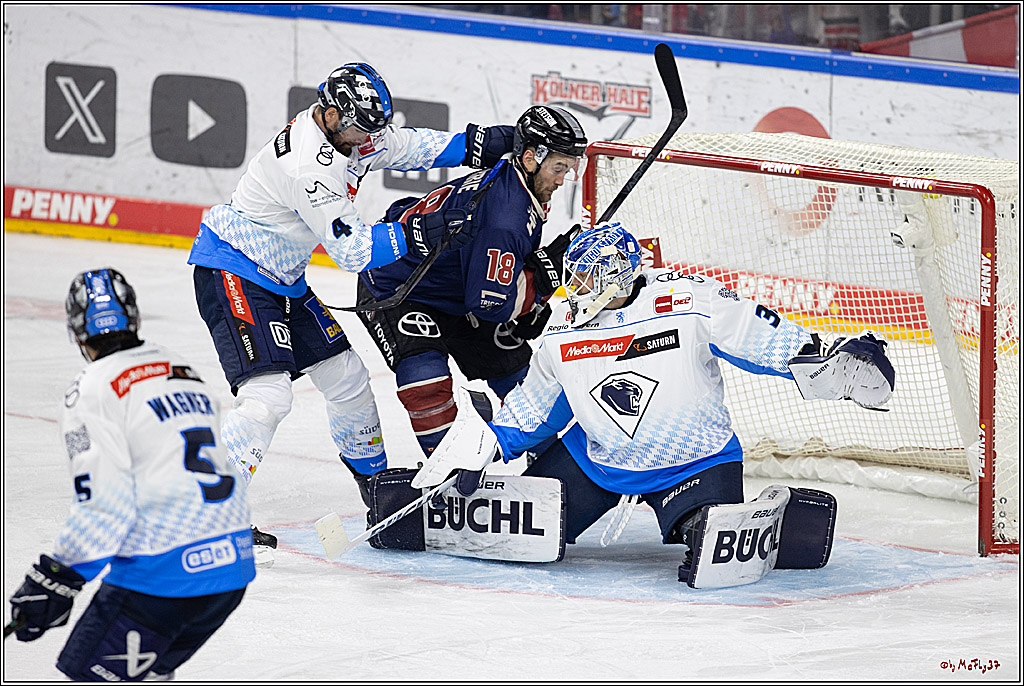 PENNY DEL 1; Kölner Haie - ERC Ingolstadt; Köln, 13.10.2024