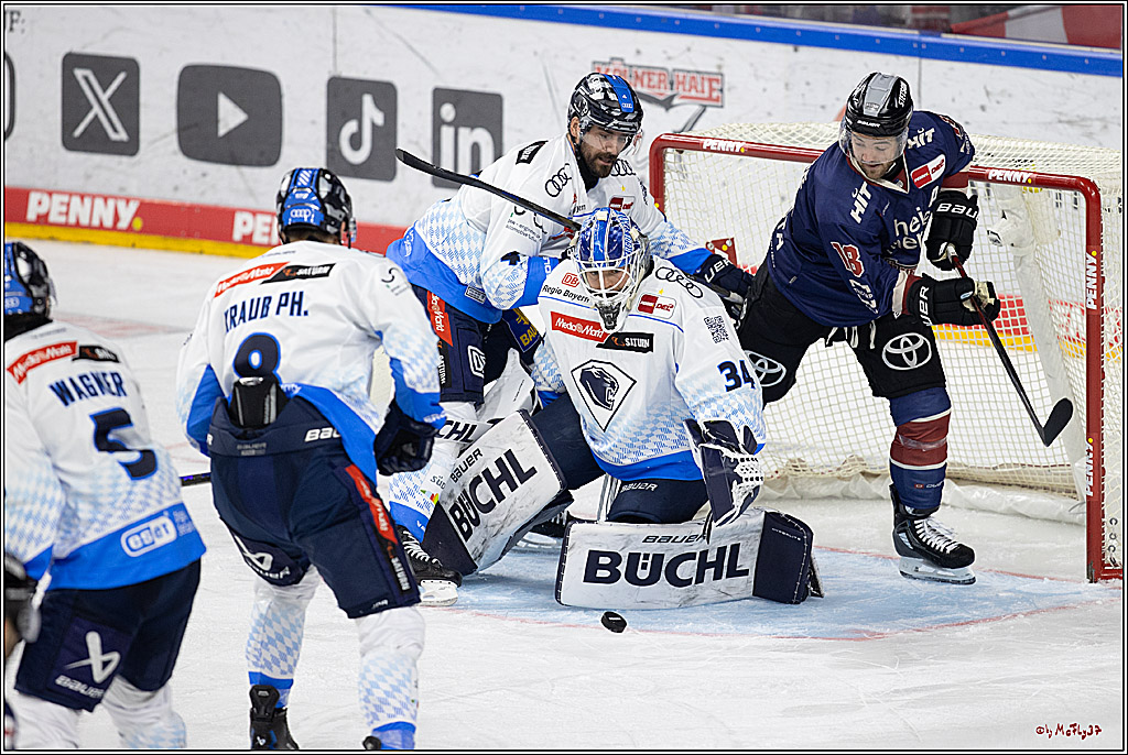 PENNY DEL 1; Kölner Haie - ERC Ingolstadt; Köln, 13.10.2024