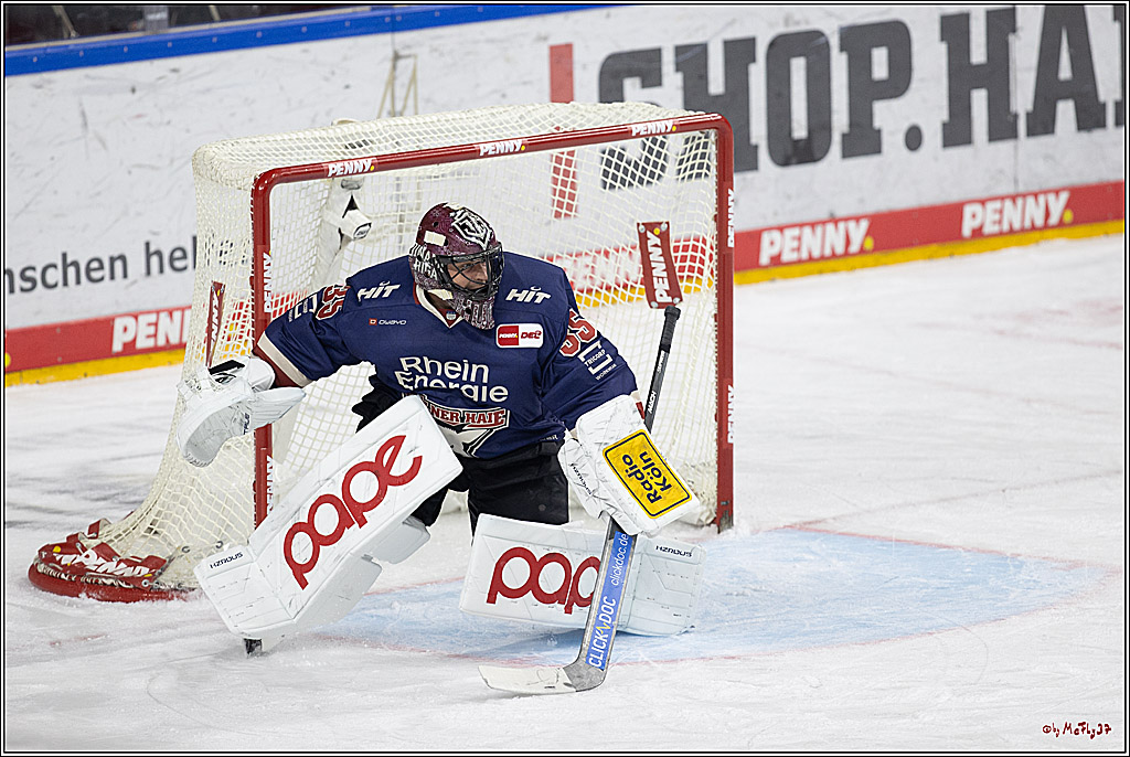 PENNY DEL 1; Kölner Haie - ERC Ingolstadt; Köln, 13.10.2024