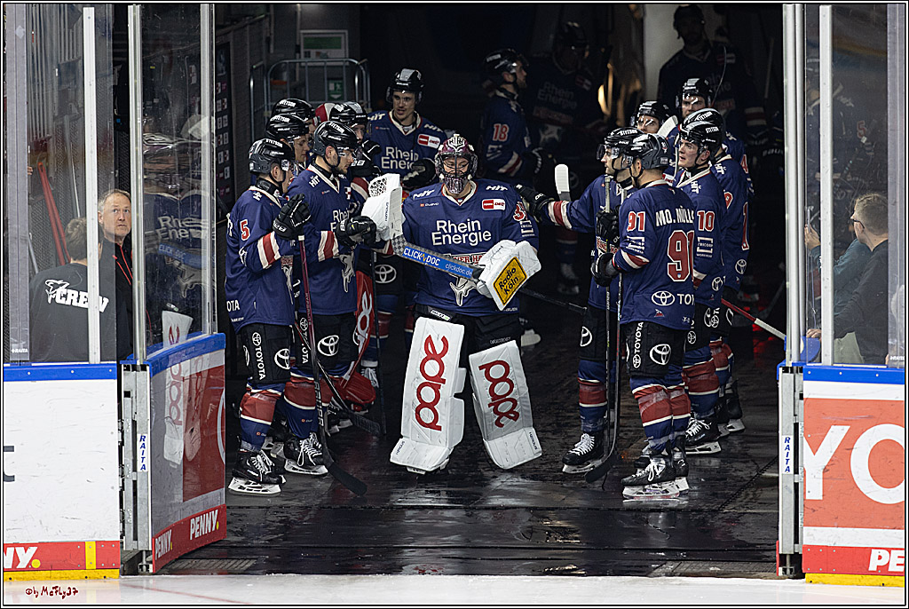 PENNY DEL 1; Kölner Haie - ERC Ingolstadt; Köln, 13.10.2024