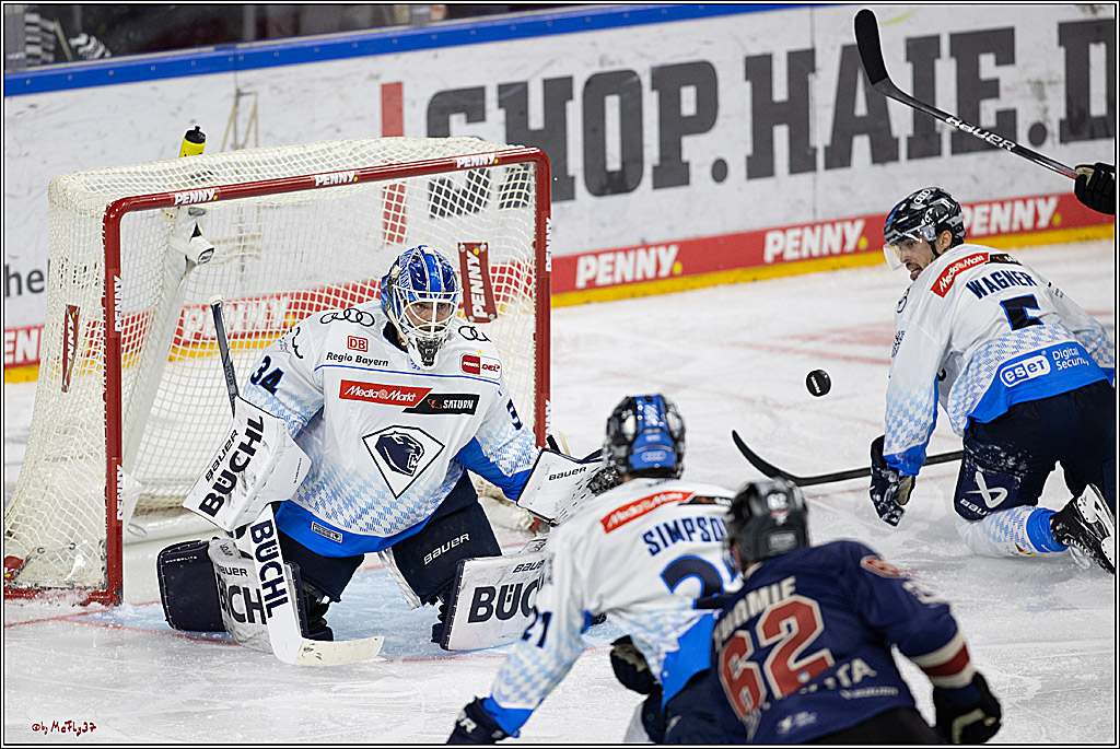 PENNY DEL 1; Kölner Haie - ERC Ingolstadt; Köln, 13.10.2024