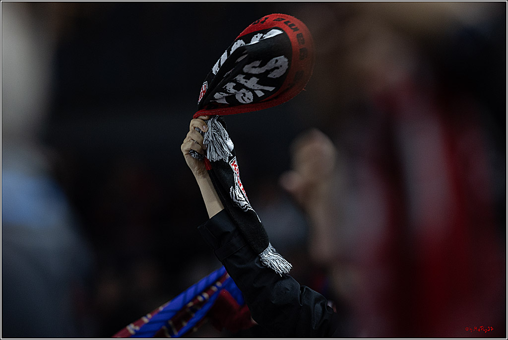 PENNY DEL 1; Kölner Haie - ERC Ingolstadt; Köln, 13.10.2024