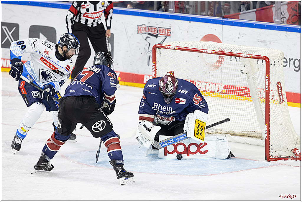 PENNY DEL 1; Kölner Haie - ERC Ingolstadt; Köln, 13.10.2024